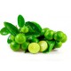 Key Lime White Balsamic Vinegar ***NEW PRODUCT***
